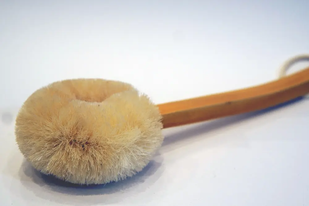 Back Body Brush