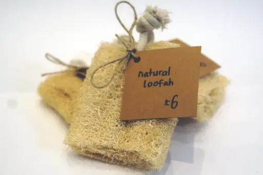 Loofah