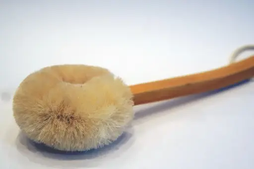 Back Body Brush